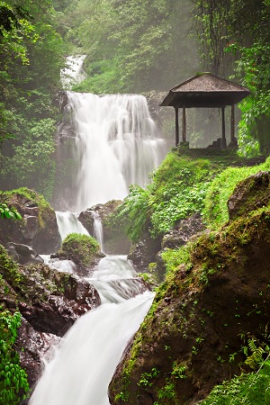 Bali Waterfall