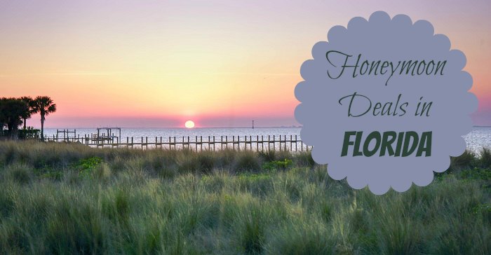 Honeymoon Deals in Florida